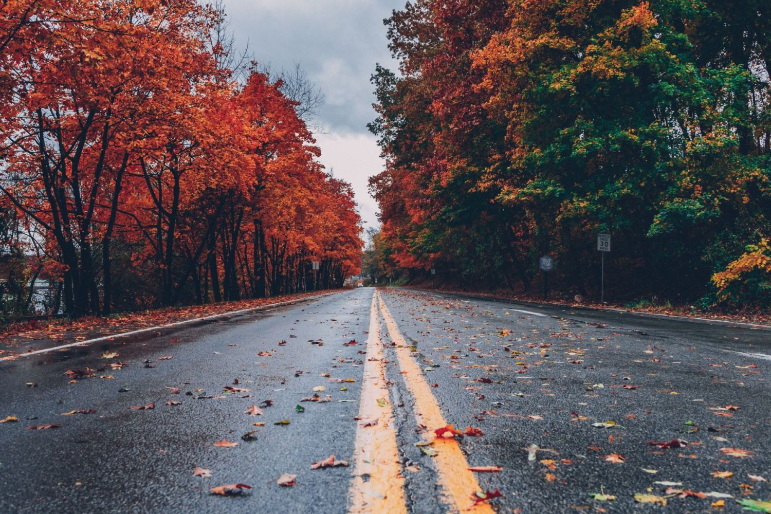 Road to Autumn